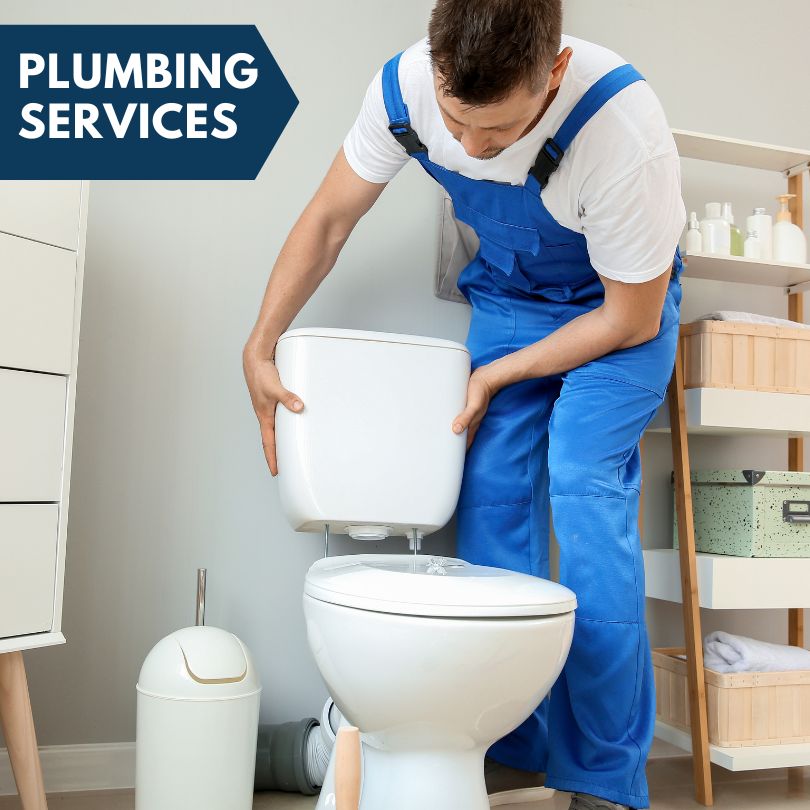 Plumbing Company in Springfield, MN